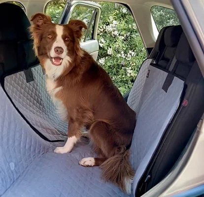 Mazda 2 Sedán — Protectores para mascotas