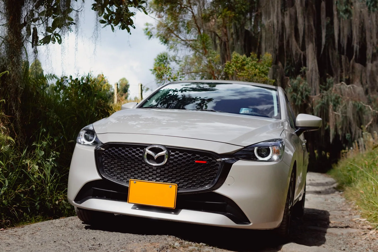 Mazda 2 Sport vista frontal en jardín